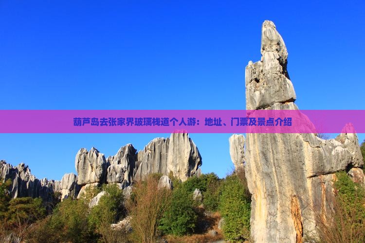 葫芦岛去张家界玻璃栈道个人游：地址、门票及景点介绍