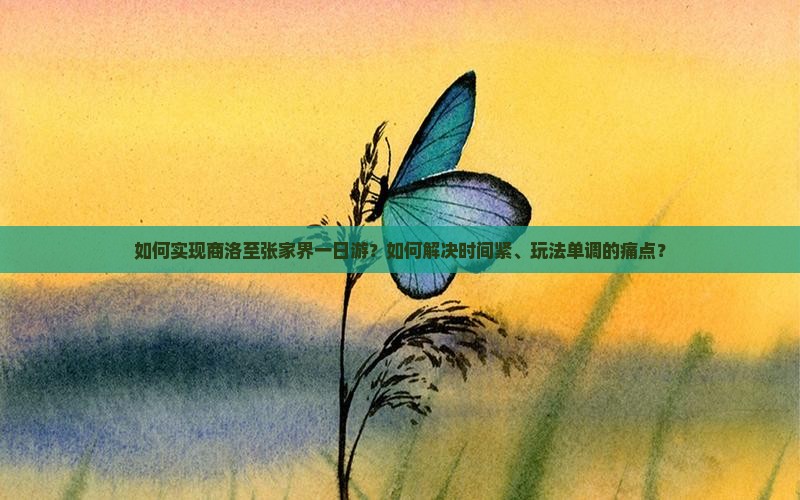 如何实现商洛至张家界一日游？如何解决时间紧、玩法单调的痛点？