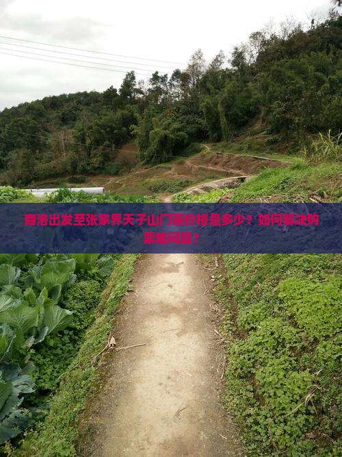商洛出发至张家界天子山门票价格是多少？如何解决购票难问题？