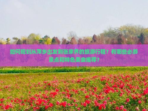 如何规划从萍乡出发到张家界的旅游行程？有哪些必游景点和特色美食推荐？