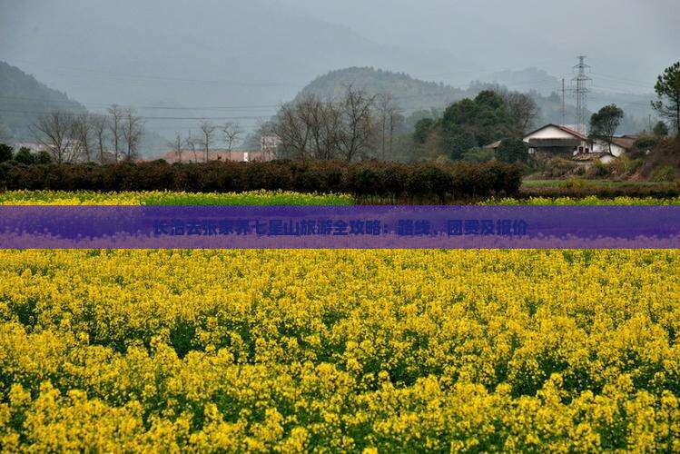 长治去张家界七星山旅游全攻略：路线、团费及报价