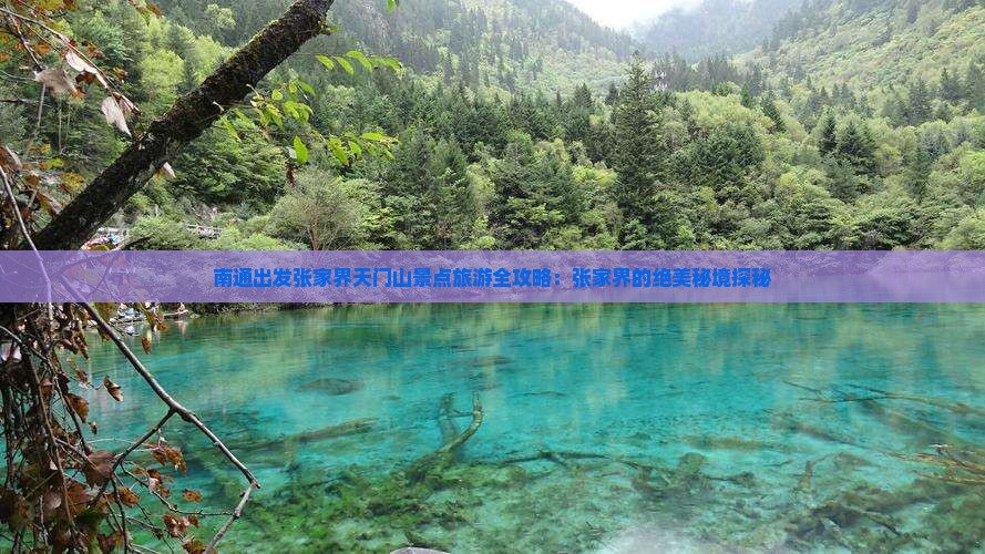 南通出发张家界天门山景点旅游全攻略：张家界的绝美秘境探秘