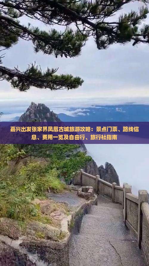 嘉兴出发张家界凤凰古城旅游攻略：景点门票、路线信息、费用一览及自由行、旅行社指南