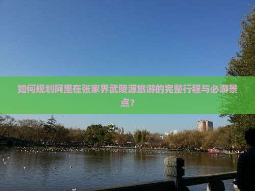 如何规划阿里在张家界武陵源旅游的完整行程与必游景点？