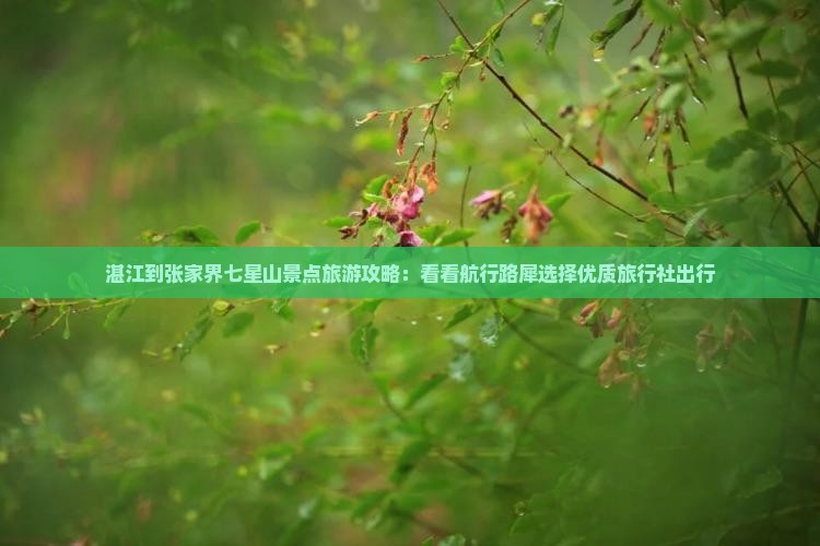 湛江到张家界七星山景点旅游攻略：看看航行路犀选择优质旅行社出行
