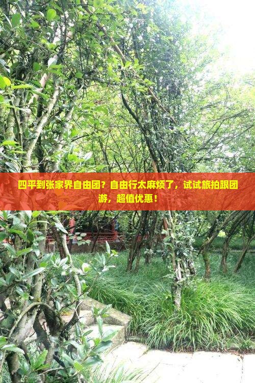 四平到张家界自由团？自由行太麻烦了，试试旅拍跟团游，超值优惠！