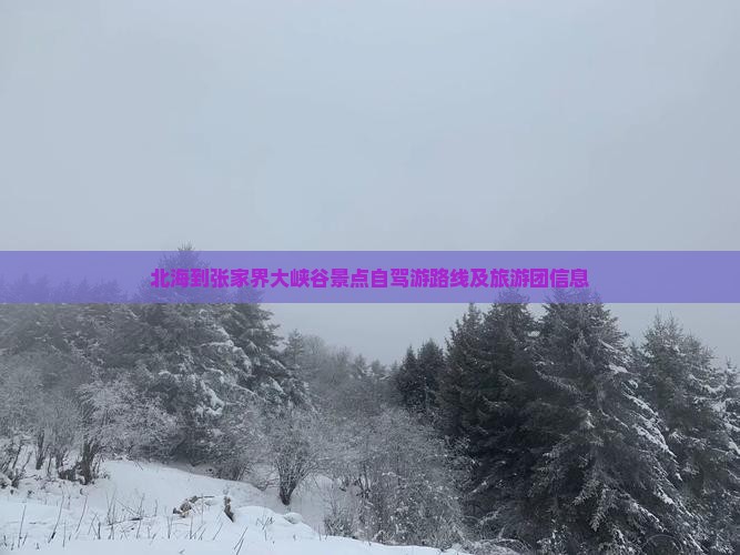 北海到张家界大峡谷景点自驾游路线及旅游团信息