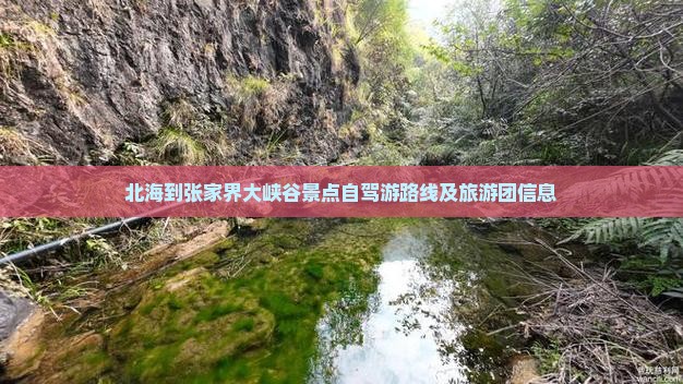 北海到张家界大峡谷景点自驾游路线及旅游团信息
