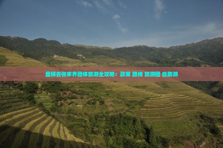 盘锦去张家界团体旅游全攻略：政策+路线+旅游团+自助游