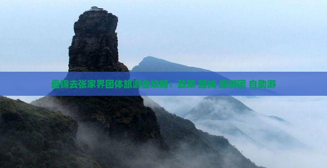盘锦去张家界团体旅游全攻略：政策+路线+旅游团+自助游