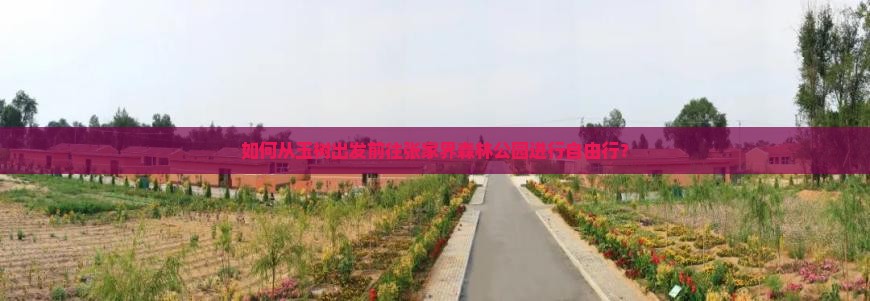 如何从玉树出发前往张家界森林公园进行自由行？