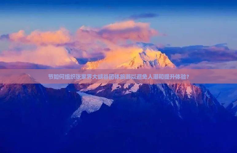 节如何组织张家界大峡谷团体旅游以避免人潮和提升体验？