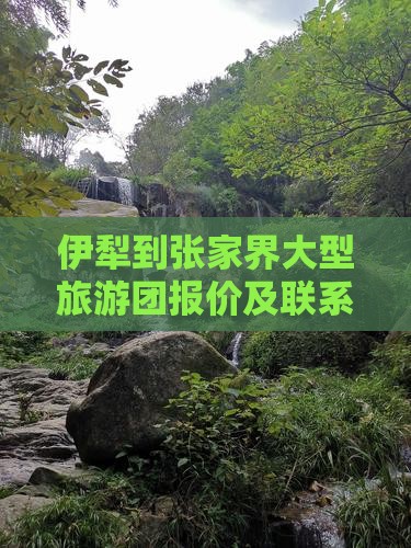 伊犁到张家界大型旅游团报价及联系方式