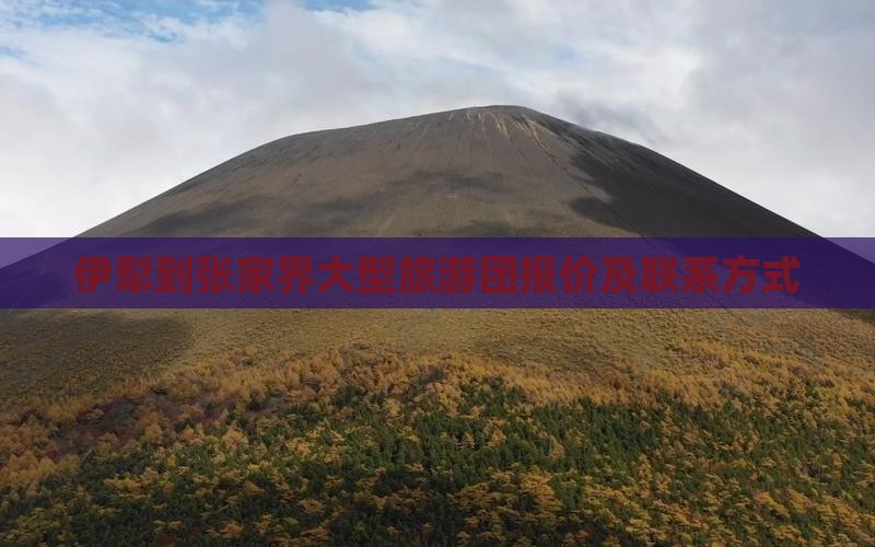 伊犁到张家界大型旅游团报价及联系方式