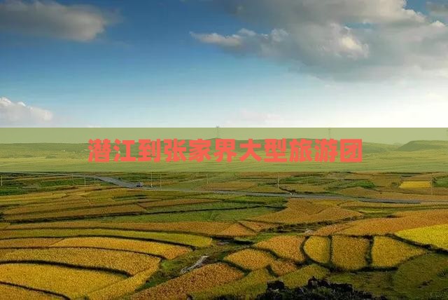 潜江到张家界大型旅游团