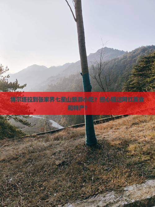 博尔塔拉到张家界七星山旅游小吃？担心错过网红美食和特产？