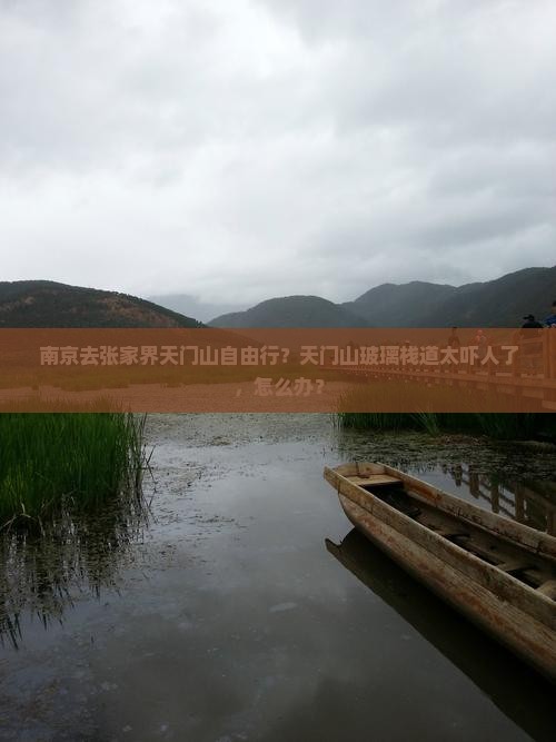 南京去张家界天门山自由行？天门山玻璃栈道太吓人了，怎么办？