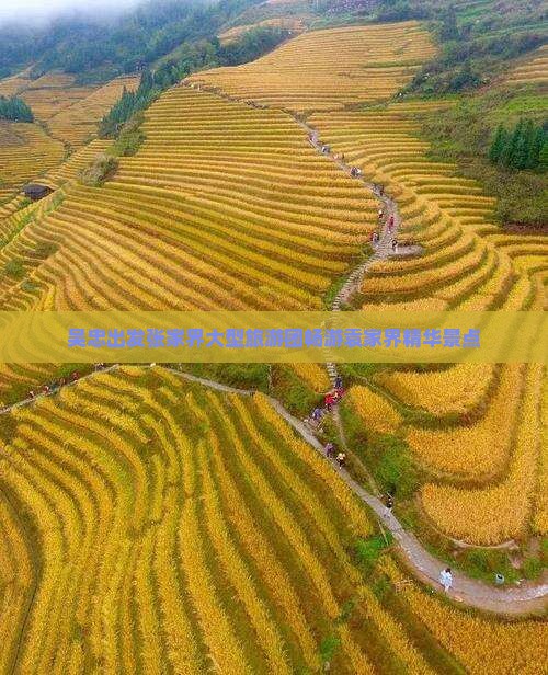 吴忠出发张家界大型旅游团畅游袁家界精华景点 吴忠出发张家界大型旅游团畅游袁家界精华景点