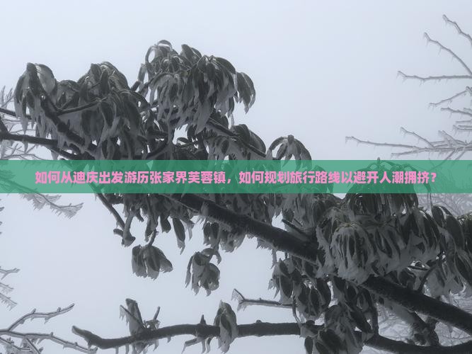 如何从迪庆出发游历张家界芙蓉镇，如何规划旅行路线以避开人潮拥挤？