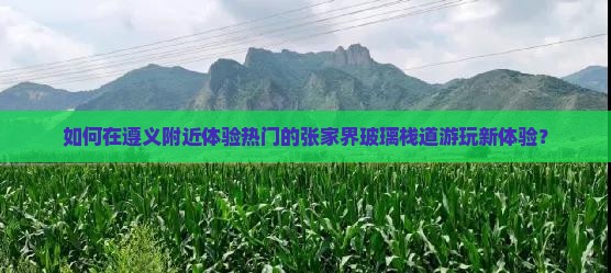 如何在遵义附近体验热门的张家界玻璃栈道游玩新体验？