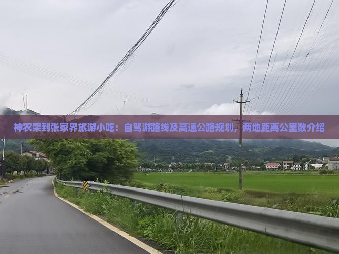 神农架到张家界旅游小吃：自驾游路线及高速公路规划，两地距离公里数介绍