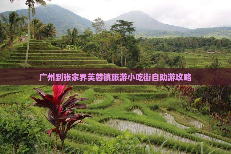 广州到张家界芙蓉镇旅游小吃街自助游攻略