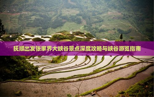 抚顺出发张家界大峡谷景点深度攻略与峡谷游览指南
