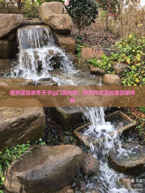 郴州至张家界天子山门票价格、购买方式及优惠政策详解