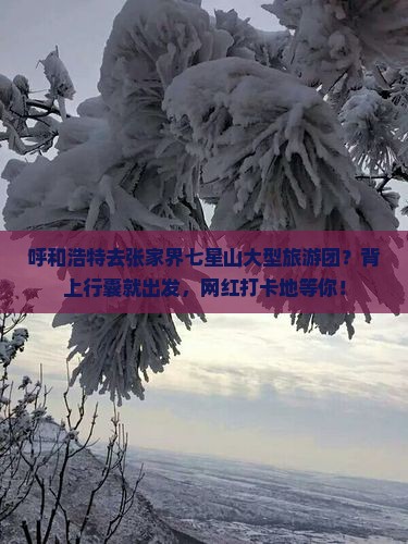 呼和浩特去张家界七星山大型旅游团？背上行囊就出发，网红打卡地等你！