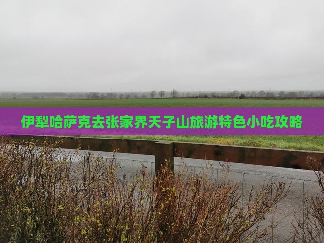 伊犁哈萨克去张家界天子山旅游特色小吃攻略