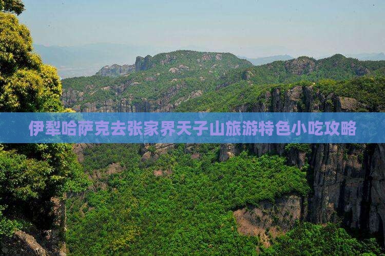 伊犁哈萨克去张家界天子山旅游特色小吃攻略