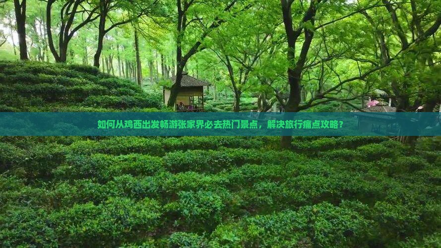 如何从鸡西出发畅游张家界必去热门景点，解决旅行痛点攻略？