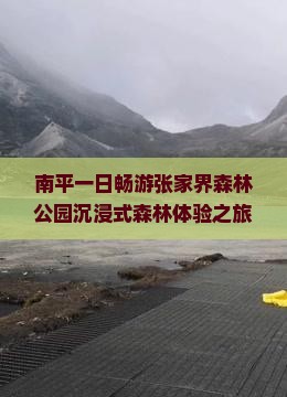 南平一日畅游张家界森林公园沉浸式森林体验之旅