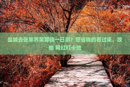 盐城去张家界芙蓉镇一日游？想省钱的看过来，攻略+网红打卡地