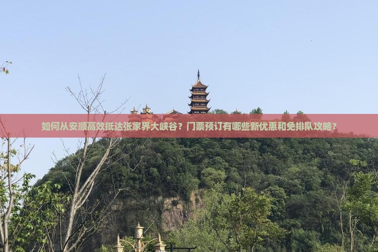 如何从安顺高效抵达张家界大峡谷？门票预订有哪些新优惠和免排队攻略？