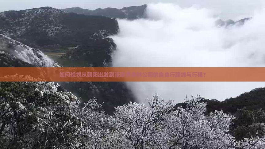 如何规划从朝阳出发到张家界森林公园的自由行路线与行程？