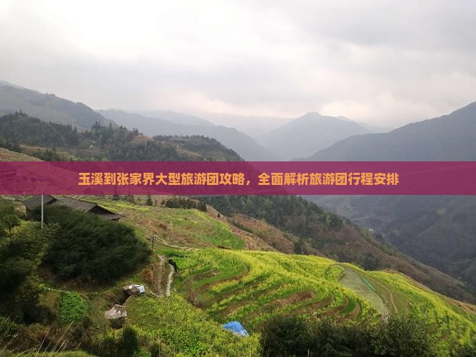 玉溪到张家界大型旅游团攻略，全面解析旅游团行程安排