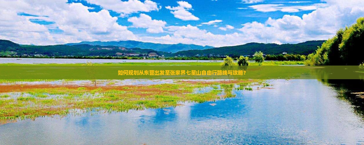 如何规划从东营出发至张家界七星山自由行路线与攻略？