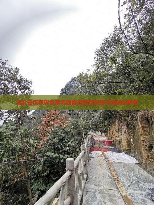 海北去张家界袁家界团体旅游攻略及行程安排指南