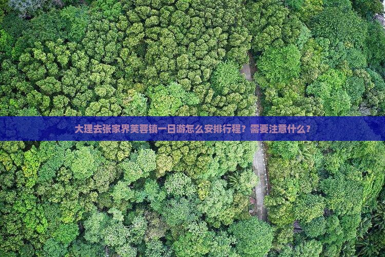大理去张家界芙蓉镇一日游怎么安排行程？需要注意什么？