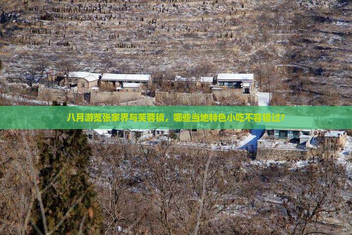 八月游览张家界与芙蓉镇，哪些当地特色小吃不容错过？