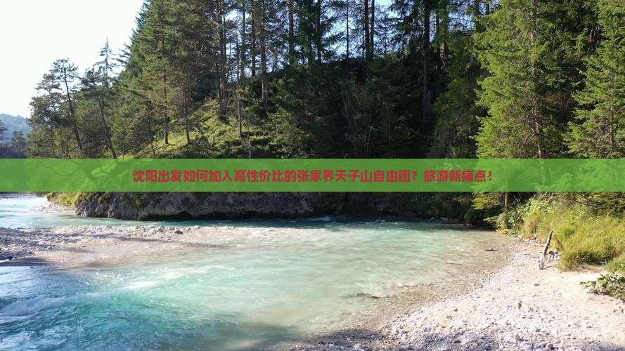 沈阳出发如何加入高性价比的张家界天子山自由团？旅游新痛点！