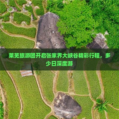 莱芜旅游团开启张家界大峡谷精彩行程，多少日深度游