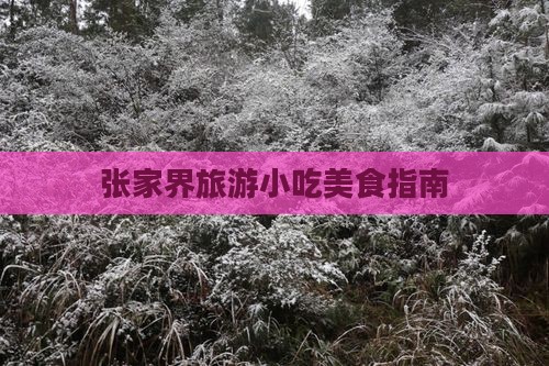 天津到张家界旅游小吃