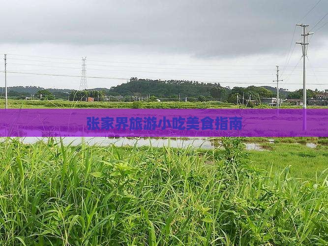 天津到张家界旅游小吃