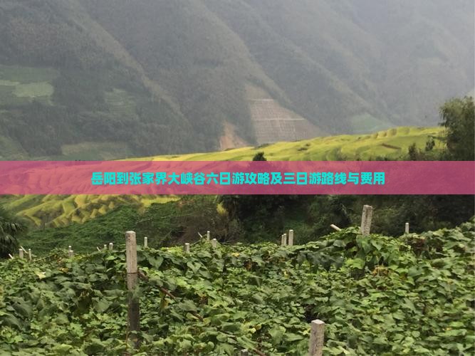 岳阳到张家界大峡谷六日游