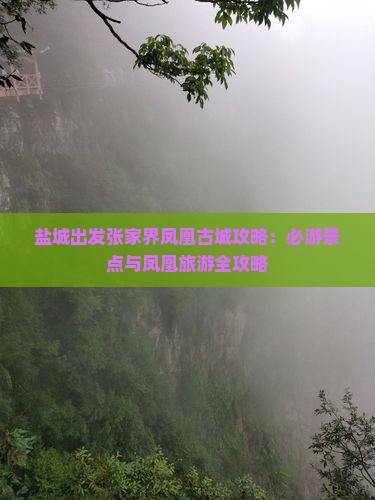 盐城去张家界凤凰古城哪里玩