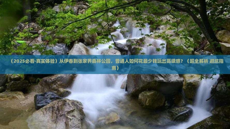 伊春去张家界森林公园旅游