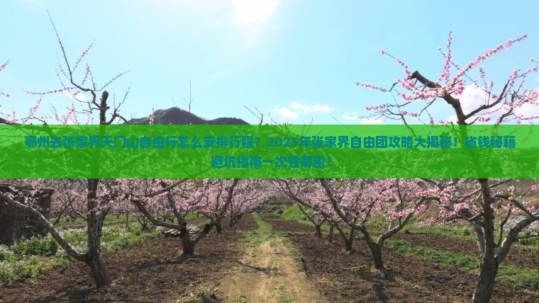 鄂州去张家界天门山自由团