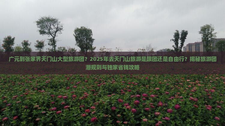 广元到张家界天门山大型旅游团